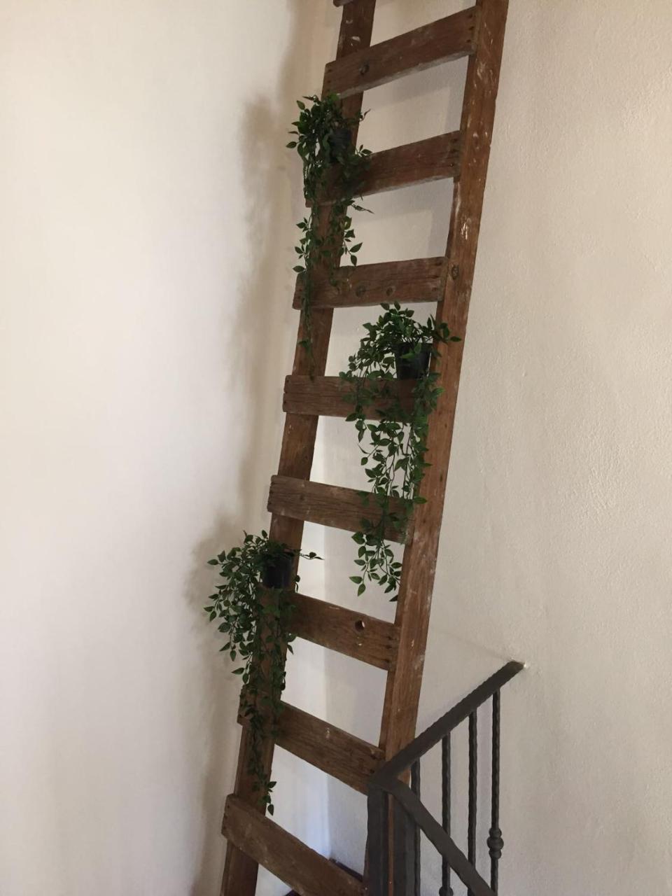 B&B La Corte San Francesco Bari Bagian luar foto